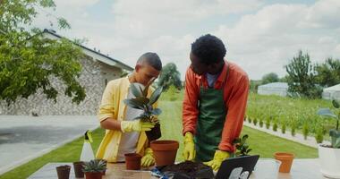 Two people working on a laptop in a garden video