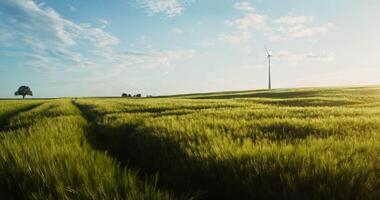 A wind turbine in a field with a tree in the foreground video