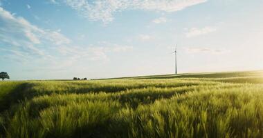 Wind turbines in a field with a tree in the foreground video