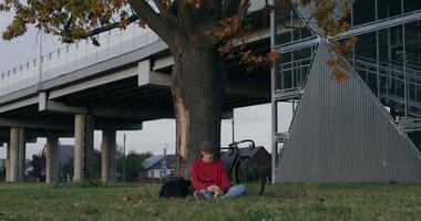 A person sitting under a tree in front of a bridge video