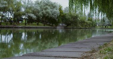 A man is walking along a path next to a river video