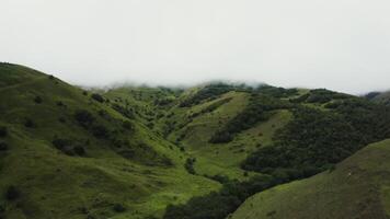 A view of a green valley with trees and fog video
