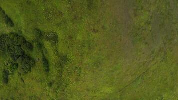 An aerial view of a green field video