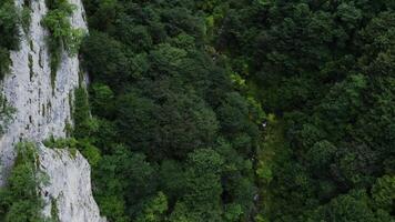 Aerial view of a mountain side with a stream running through it video