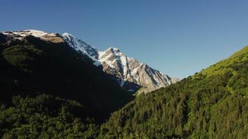 une Montagne intervalle avec des arbres et neige plafonné pics video