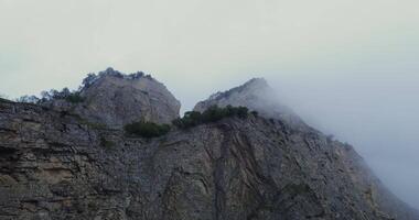 A mountain with a foggy sky and trees video