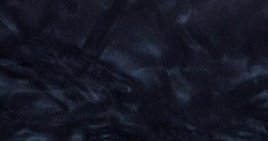 A close up of a black and white fur video