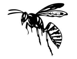 Boils Potter Wasp or Mason Wasp Flying Side View Retro Woodcut vector