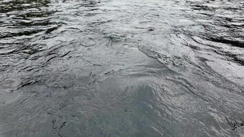 The Tranquil and Serene Flow of a River with Gentle Ripples in the Heart of Nature. Media video