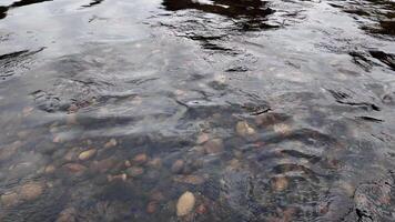 The tranquil water surface beautifully reflects pebbles lying beneath its clear embrace. Media video