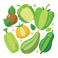 various types of cucumbers and other vegetables vector