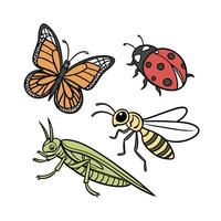 ladybug, grasshopper and butterfly illustration design vector
