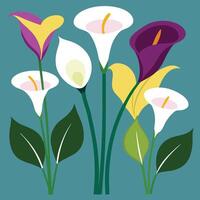 a group of calla lilies on a blue background vector