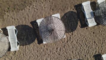 Empty Beach Umbrellas video