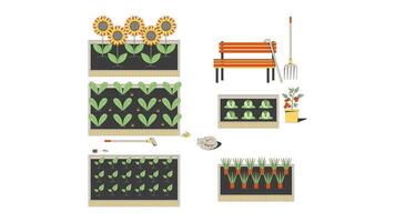 Community garden with raised beds cartoon animation. Bench cane, sleeping cat. Sunflowers, leafy greens, tomatoes, carrots animated flat 2D composition 4K isolated on white, scene storytelling video