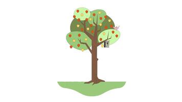 Apple tree with birdhouse and small bird perched on branch 2D cartoon object animation. Orchard fruit tree summer garden harvest. Appletree animated flat colorful item 4K isolated on white video