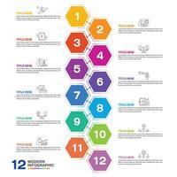 Hexagon infographic 12 process for presentation. vector