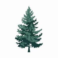 Stylized Green Pine Tree in a Simple Style vector