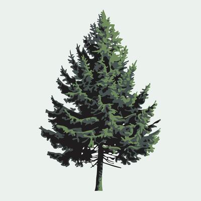 Elegant Flat Pine Tree on a Blank White Space