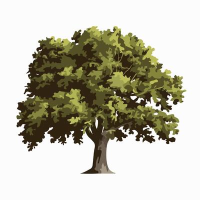 Minimalist Bushy Tree Illustration on a White Canvas