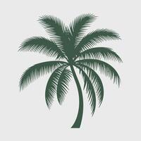 A palm tree is shown on a white background vector