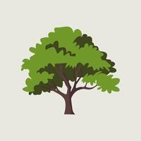 A tree with leaves on it is shown in this illustration vector