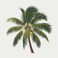 A Flat-Style palm tree on a Plain White Background vector