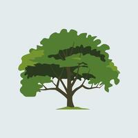 A simple tree with green leaves on a white background vector