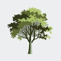 Modern Small Tree Artwork in a Minimalist Look vector