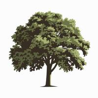 A tree with leaves on it is shown vector