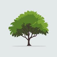 Clean and Simple Small Tree Drawing in Flat Style vector