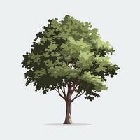 A tree is shown on a white background vector