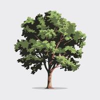 Flat Bushy Tree Design with Clean White Background vector