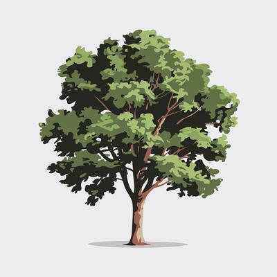 Flat Bushy Tree Design with Clean White Background