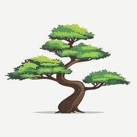 A Flat-Style bonsai tree on a Plain White Background vector