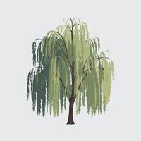 Clean and Simple Willow Tree Drawing in Flat Style vector