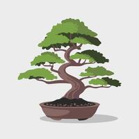 Stylized Green Bonsai Tree in a Simple Style vector