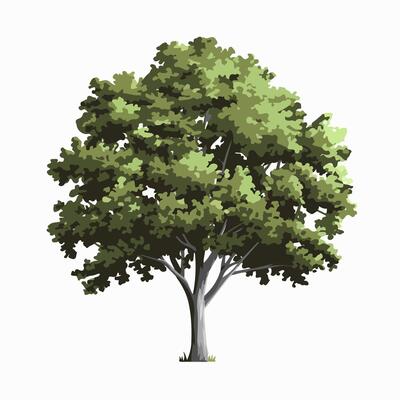 A tree with green leaves