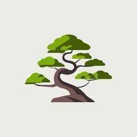 Flat Illustration of a Bonsai Tree with Delicate Branches vector