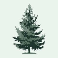 Flat Illustration of a Pine Tree with Sharp Green Foliage vector