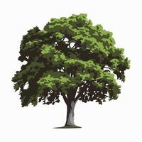 A tree with on a white background vector
