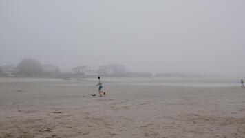 Two children run joyfully towards each other on a foggy beach, accompanied by their playful small dog video