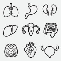 set of internal organs with outline style good for logo, coloring book, coloring page, icon, etc vector