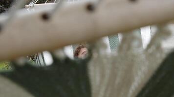 Teenager partially visible through hammock ropes appearing deep in thought video