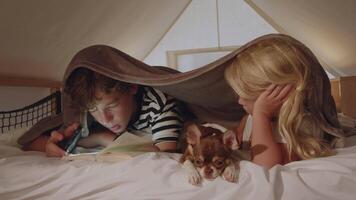 Children reading a book with a flashlight under a blanket fort, accompanied by their small dog on a bed video