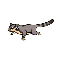 Sugar Glider Gliding on a White Background vector