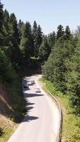 Forest Road Traffic Aerial View video