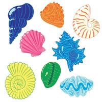 Colorful seashell set featuring various shell types with intricate details, perfect for marine and ocean designs vector