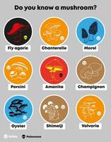 infographic sticker set with various edible and poisonous mushroom isolated vector