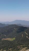 Aerial Drone Mountian Forest video